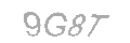 Güvenlik Kodu